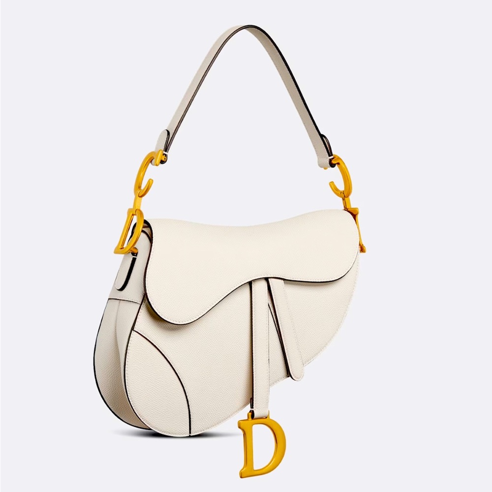 Dior Saddle bag